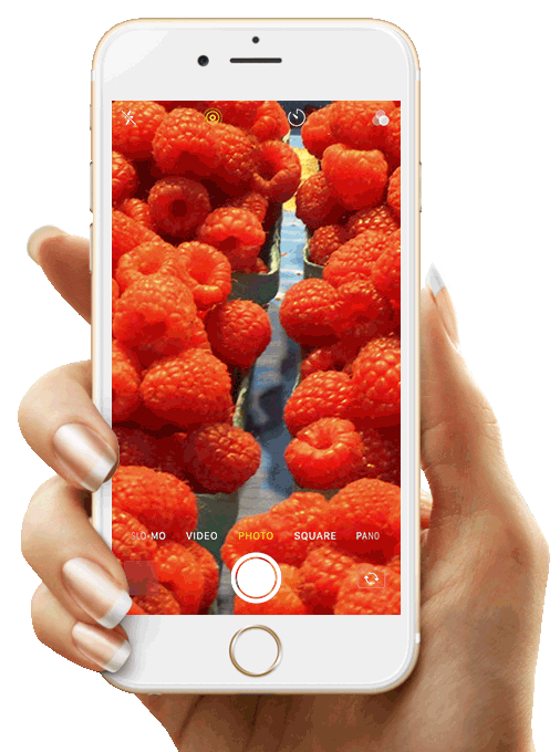 gallery/phone-in-hand-gif-v2.0