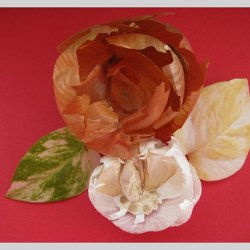 gallery/hilda zambrano - flores que hacen llorar copy-crop-u270988